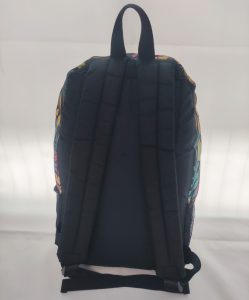 school backpack-back